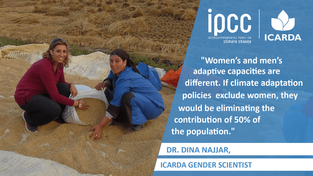 GENDER SCIENTIST DR. DINA NAJJAR DISCUSSES DRYLANDS AND THE IPCC REPORT