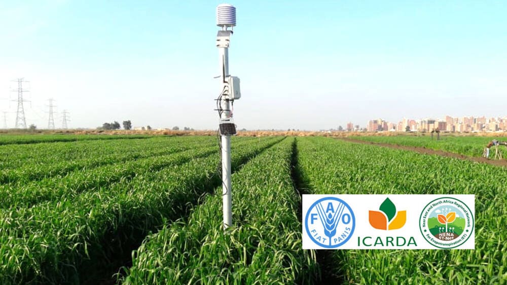 FAO/ICARDA WEBINARS ON MEASURING EVAPOTRANSPIRATION NOW OPEN