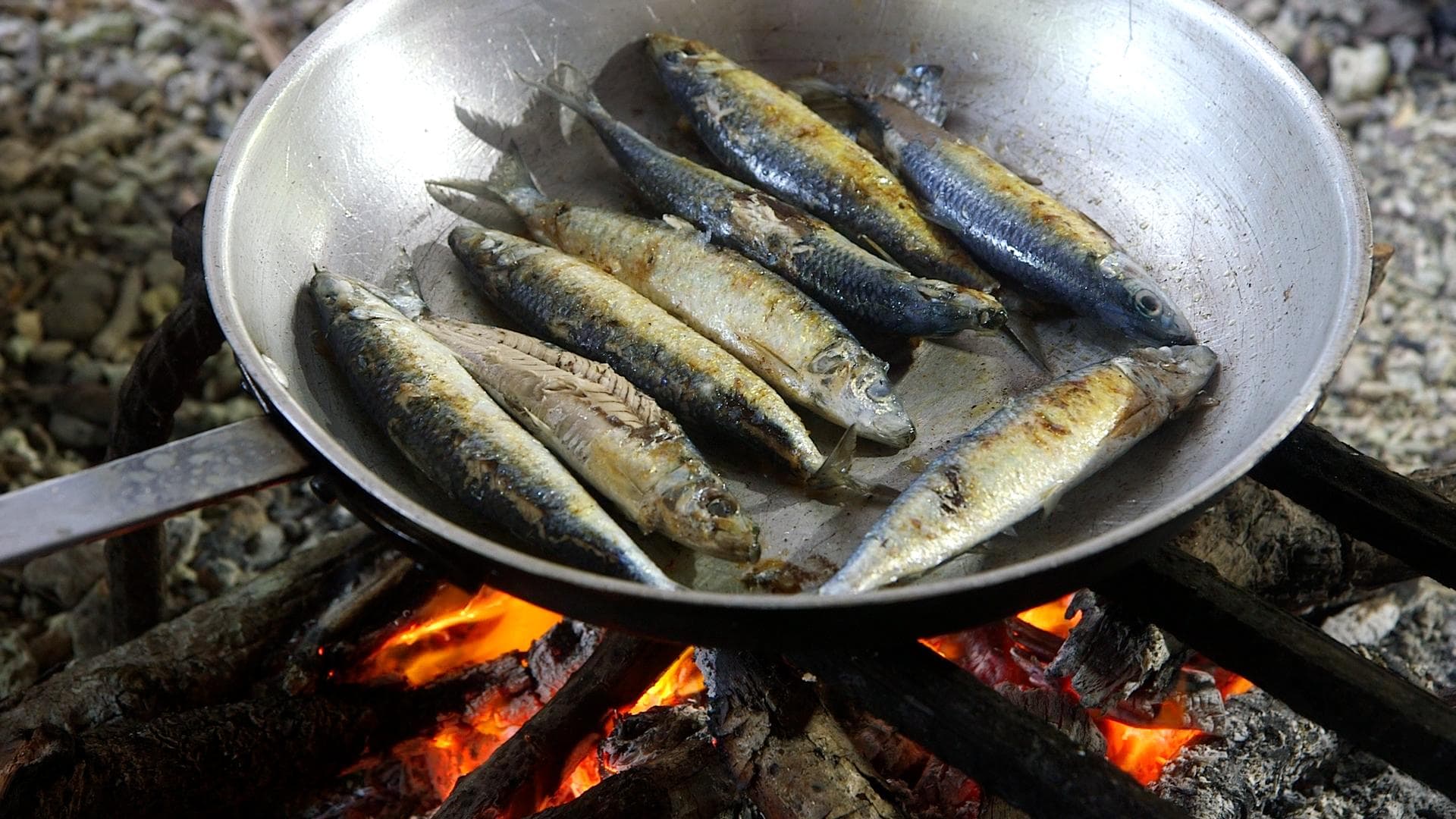 Aquatic foods are the cornerstone of the diets, livelihoods, economies and cultures of many communities around the world. Photo by Wade Fairley.
