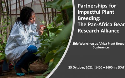 Join the PABRA Parallel session at Africa Plant Breeders Conference 2021