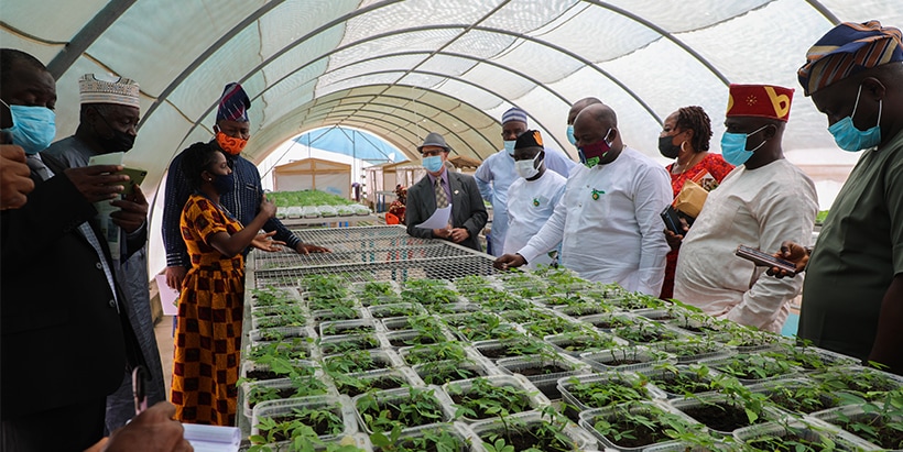 The Chairman and his team visiting the Semi-Autotropic Hydroponics screenhouse.