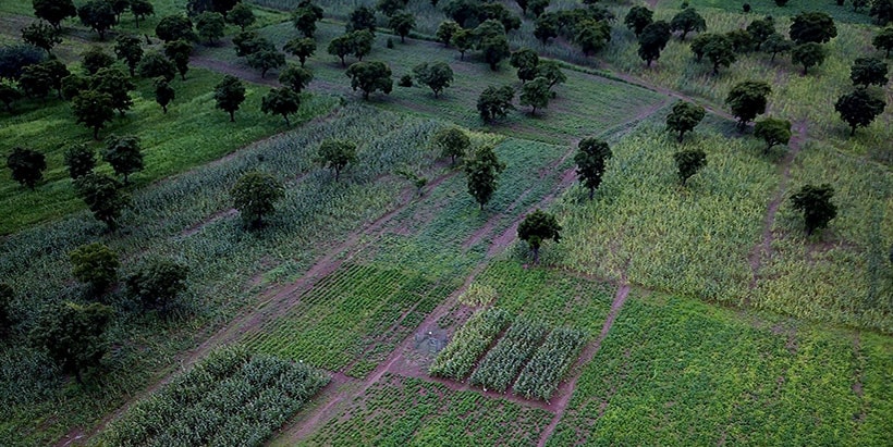 CGIAR spells out priority interventions to accelerate uptake of research to rebuild and strengthen Africa’s agriculture in the face of climate change