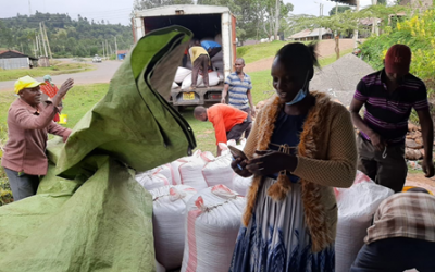 Nutrient-rich bean varieties and market linkages changing fortunes for farmers in Bomet County