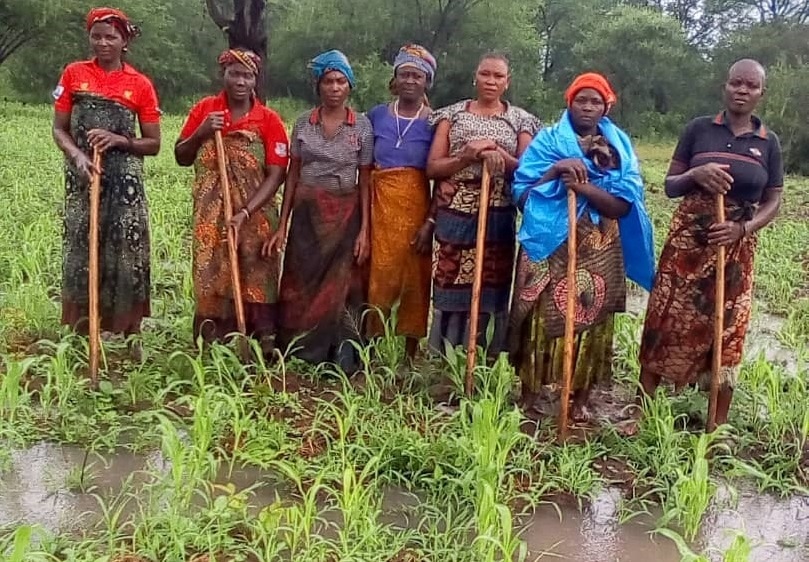 Scaling groundnut and sorghum seed in Eastern Africa (Tanzania)