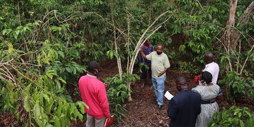 Participants view some of the coffee in the demonstration control where no practices were applied.