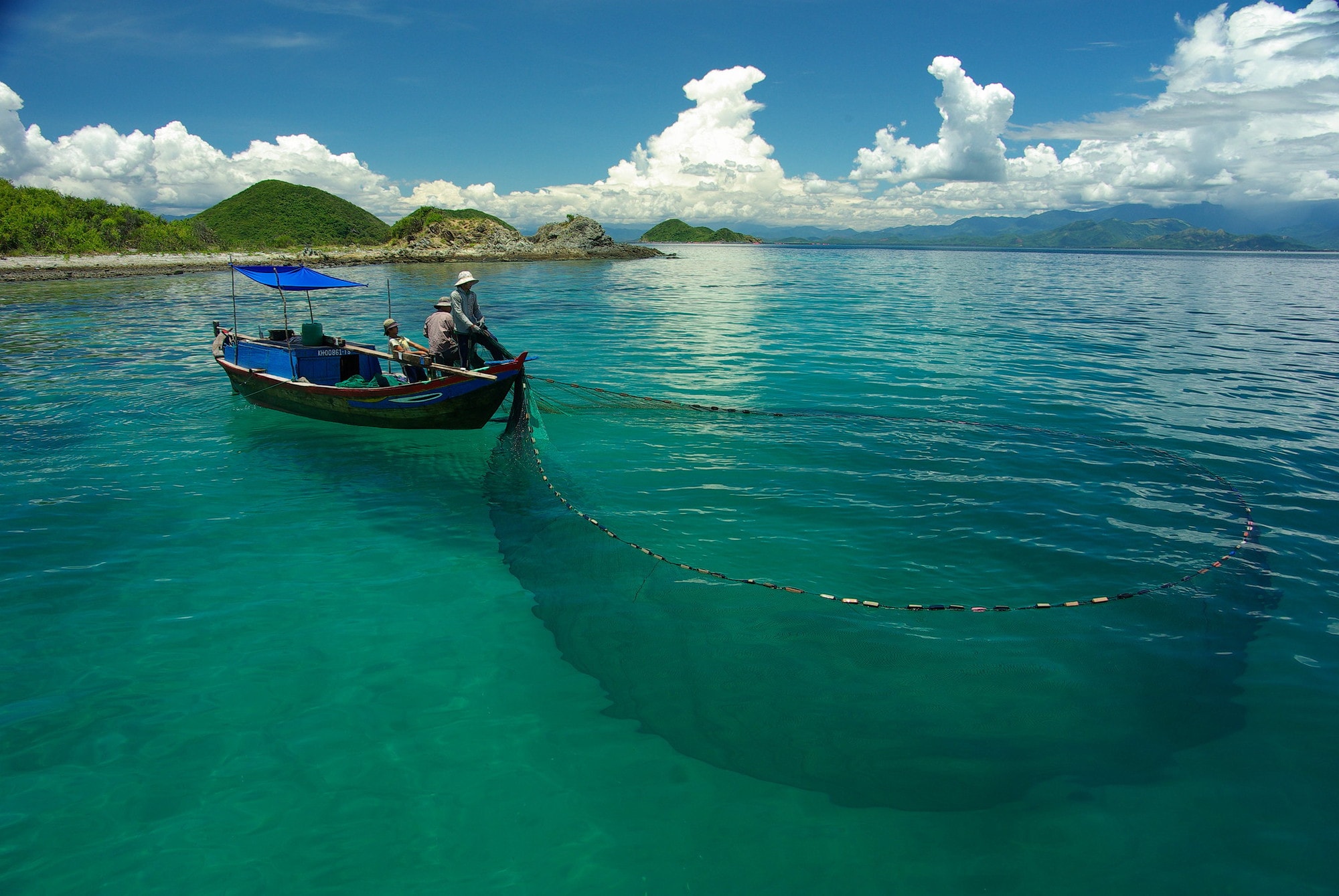 aquatic foods are vital for the health and nourishment of three billion people and the livelihoods of eight hundred million people around the world