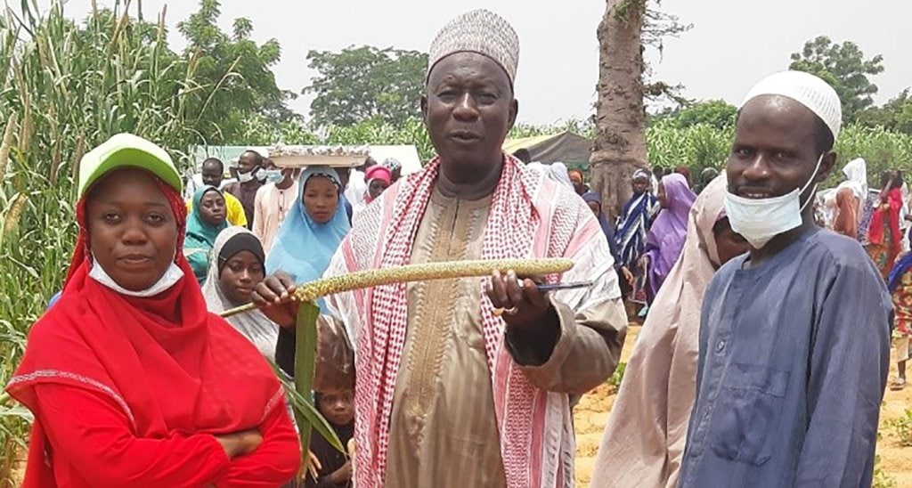 Improved millet varieties, production technologies and pearl millet recipes go on display in Nigeria