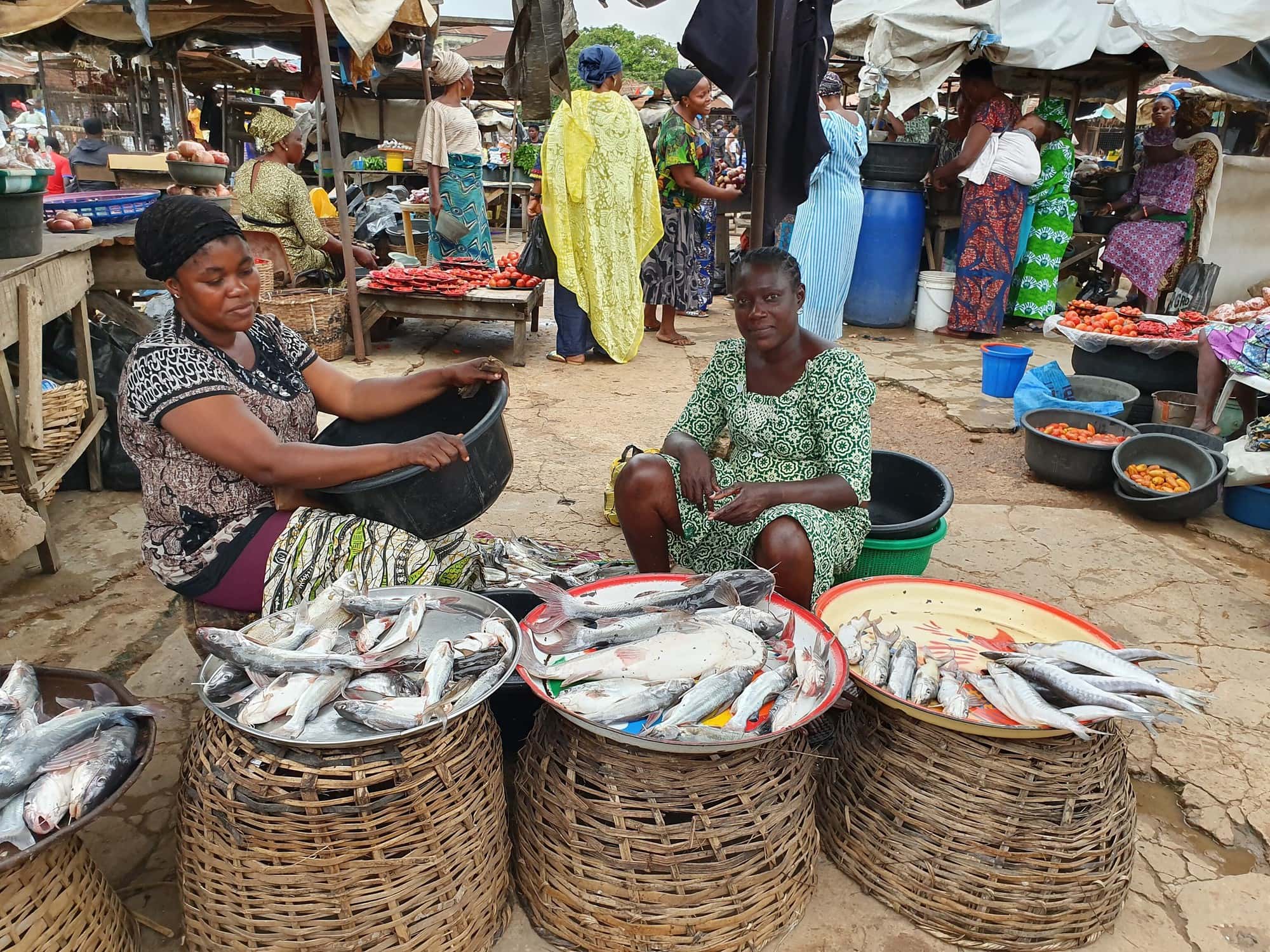 Marketing fish in a local market in Lagos, Nigeria. Photo by Nhuong Tran.