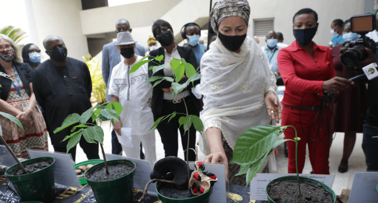 UN Deputy Secretary-General visits IITA in Ibadan, Nigeria