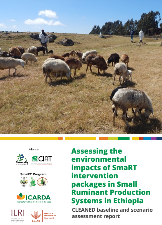 Assessing the environmental impacts of SmaRT intervention packages in small ruminant production systems in Ethiopia - CGIAR Assessing the environmental impacts of SmaRT intervention packages in small ruminant production systems in Ethiopia - CGIAR