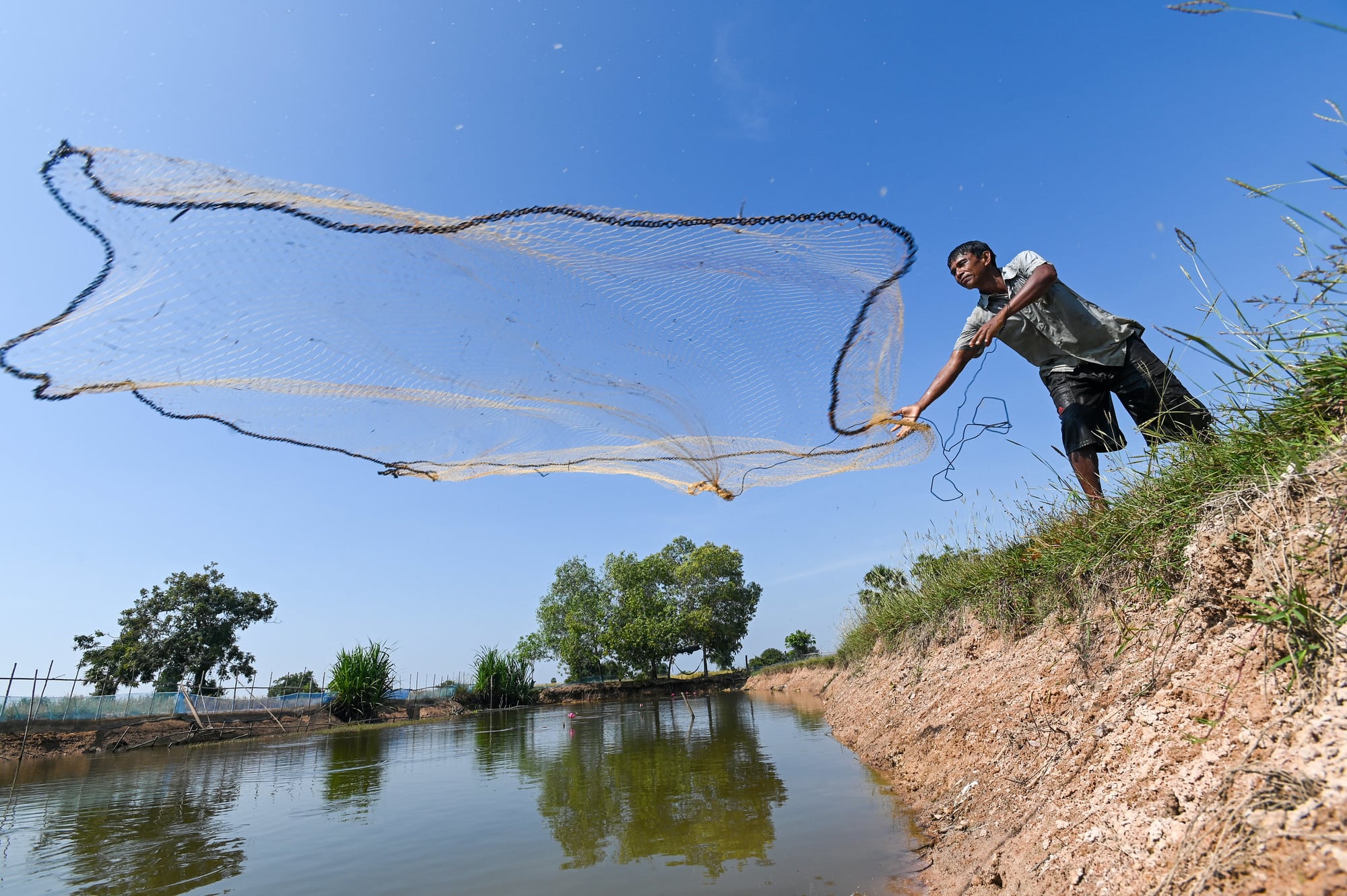 Harnessing aquatic foods for sustainable healthy diets