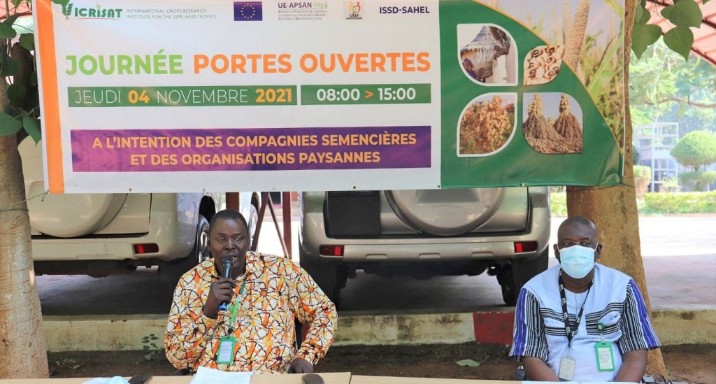 Showcasing improved varieties and hybrids performance to seed growers for better nutrition, climate resilience and livelihoods in Mali