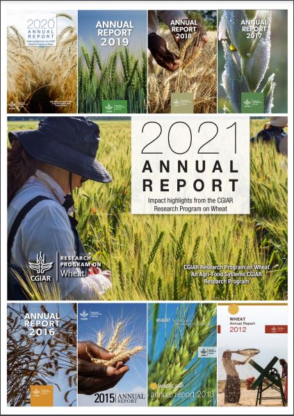 wheat research paper 2021