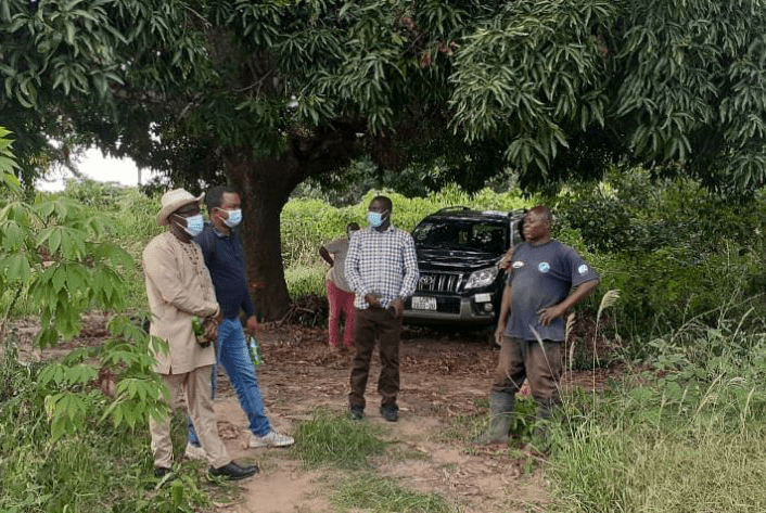 Members of the ACAI team visiting Asuogyaman Farms.