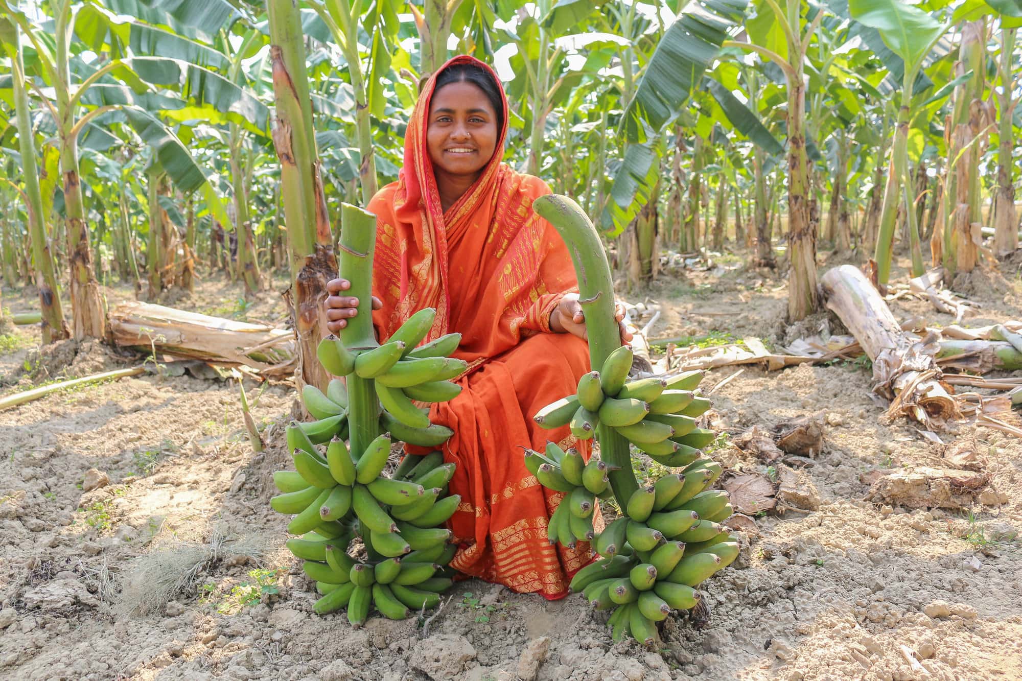 Woman farmer Bangladesh-S Quinn_CIP