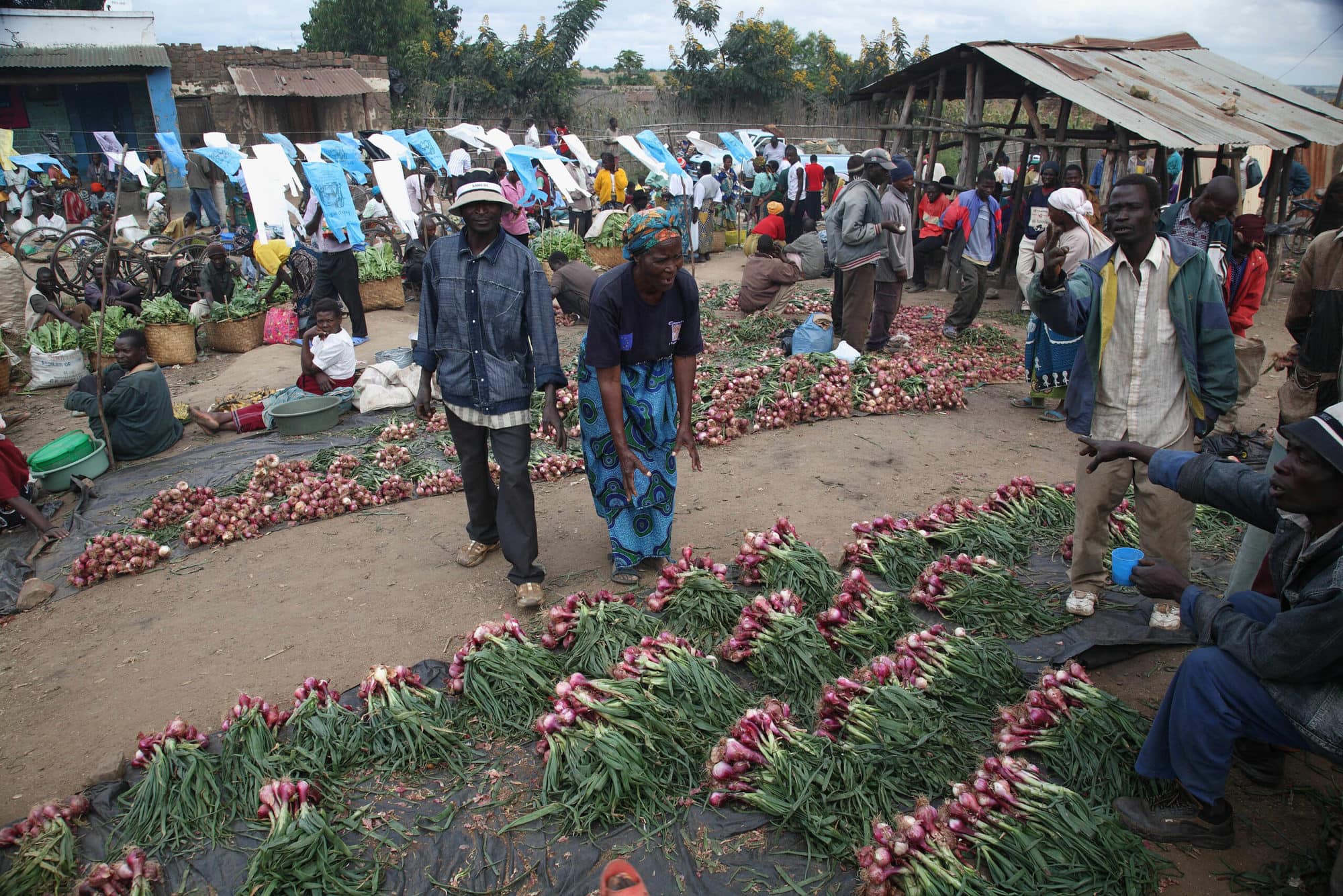 Market near Khulungira Village, in central Malawi (ILRI/Stevie Mann)