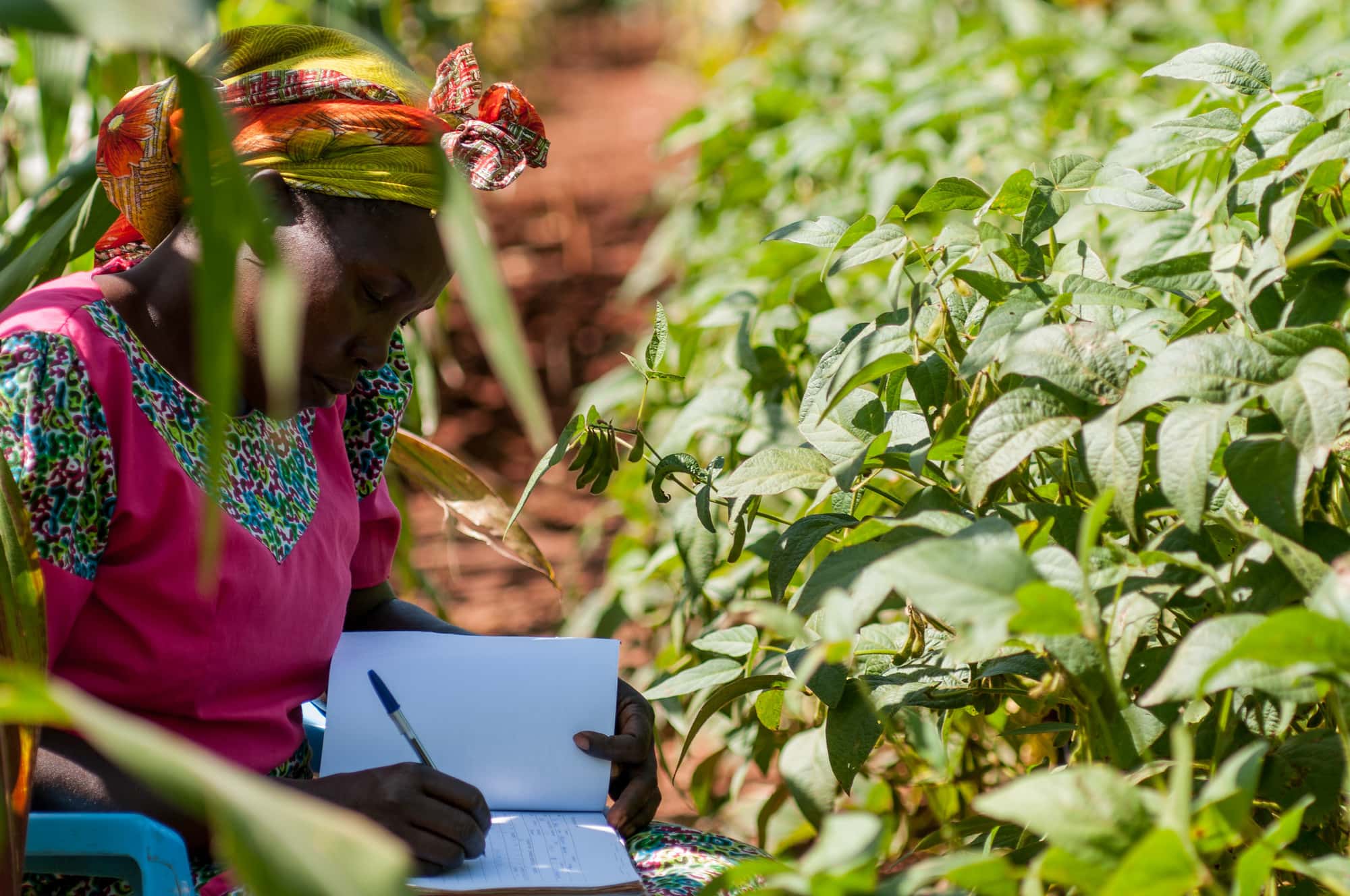 Climate soils Kenya_CIAT