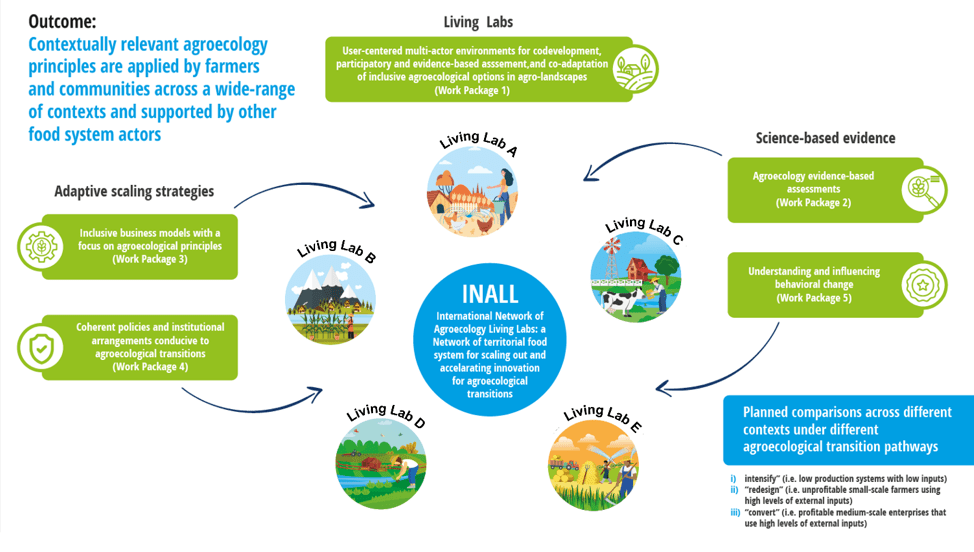 Agroecology principles