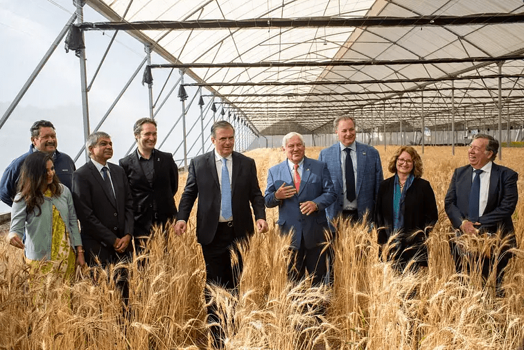 Representatives of the Government of Mexico, the Embassy of India, the National Agricultural Council, the CGIAR and the International Maize and Wheat Improvement Center (CIMMYT) at the Sanjaya Rajaram Experimental Station in Toluca, State of Mexico. (Photo: Alfonso Cortés Arredondo/CIMMYT)