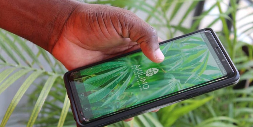 The AKILIMO App supports farmers in getting agronomic recommendations and advice.