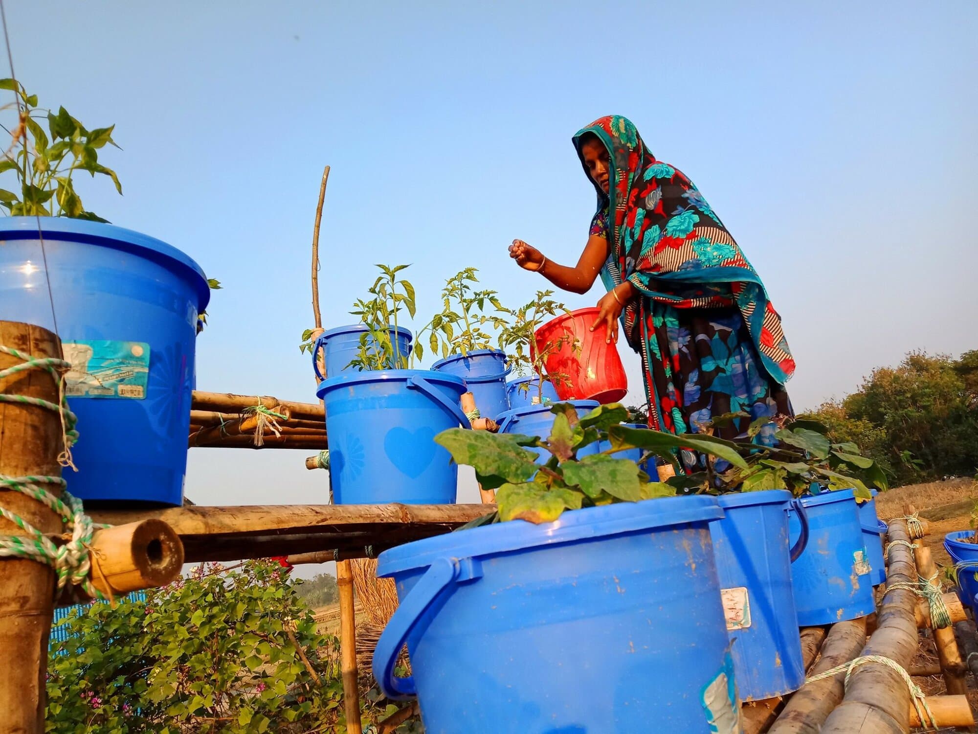 Photo by UNDP Bangladesh.