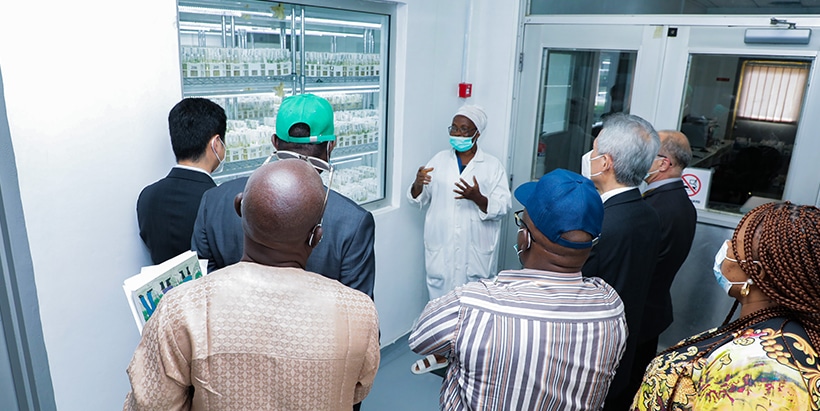 The SAA team at the in-vitro bank in the Genetic Resources Center.
