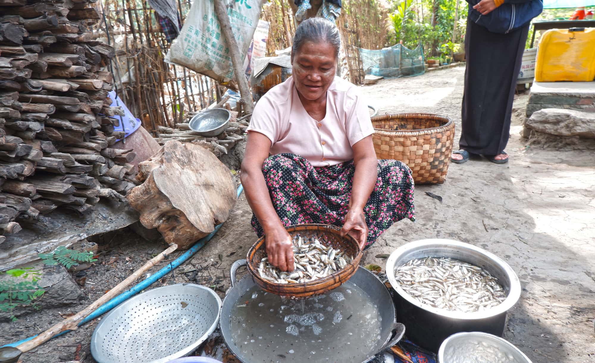 achieving-food-and-nutrition-security-in-myanmar-and-zambia-through