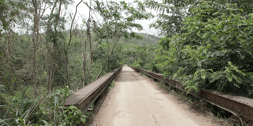 The bridge leading to Olokemeji Community which hosts the forest reserve.