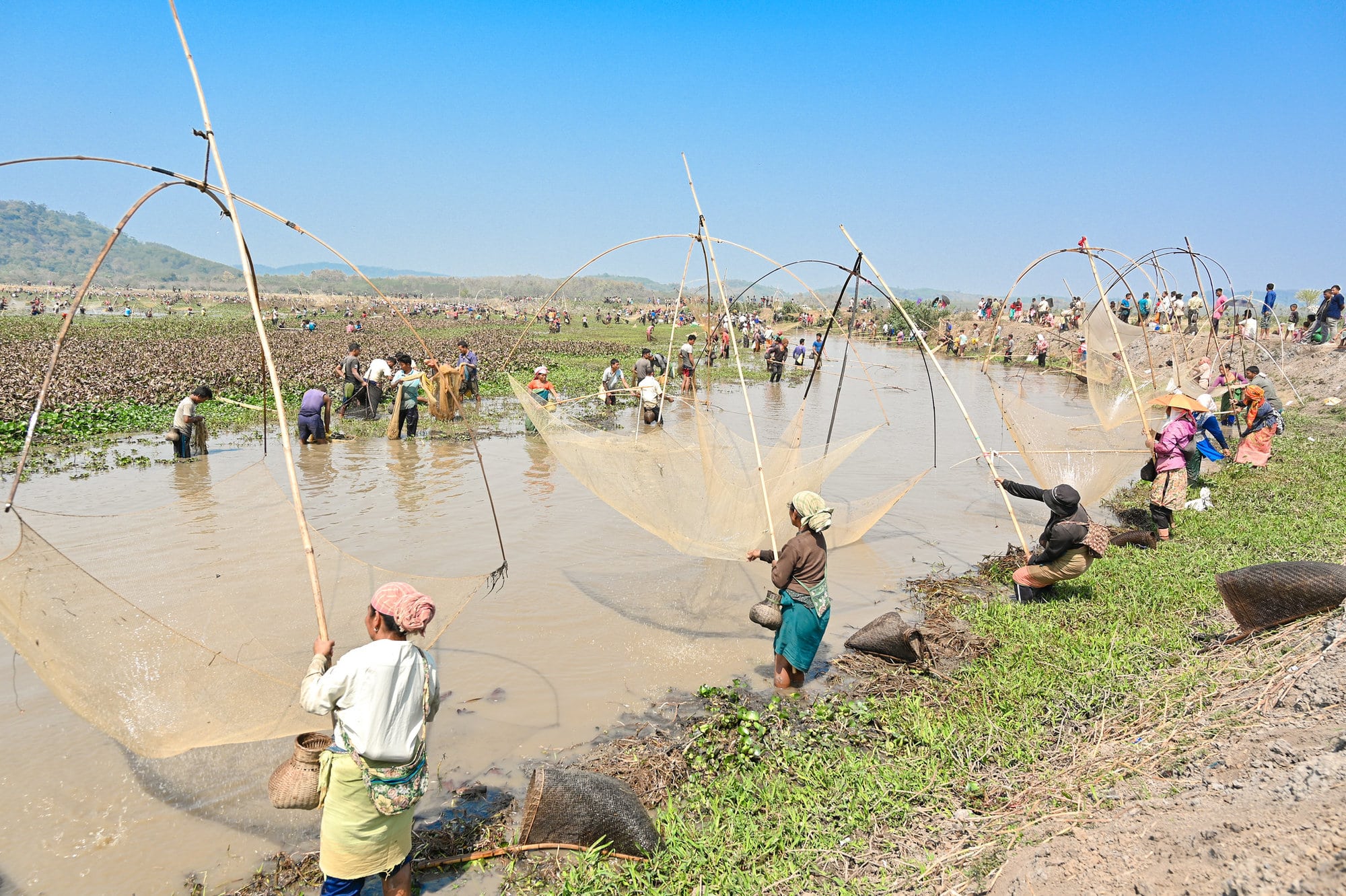 Women led community fishing at Borjong wetland in Assam. Photo by Sourabh Dubey