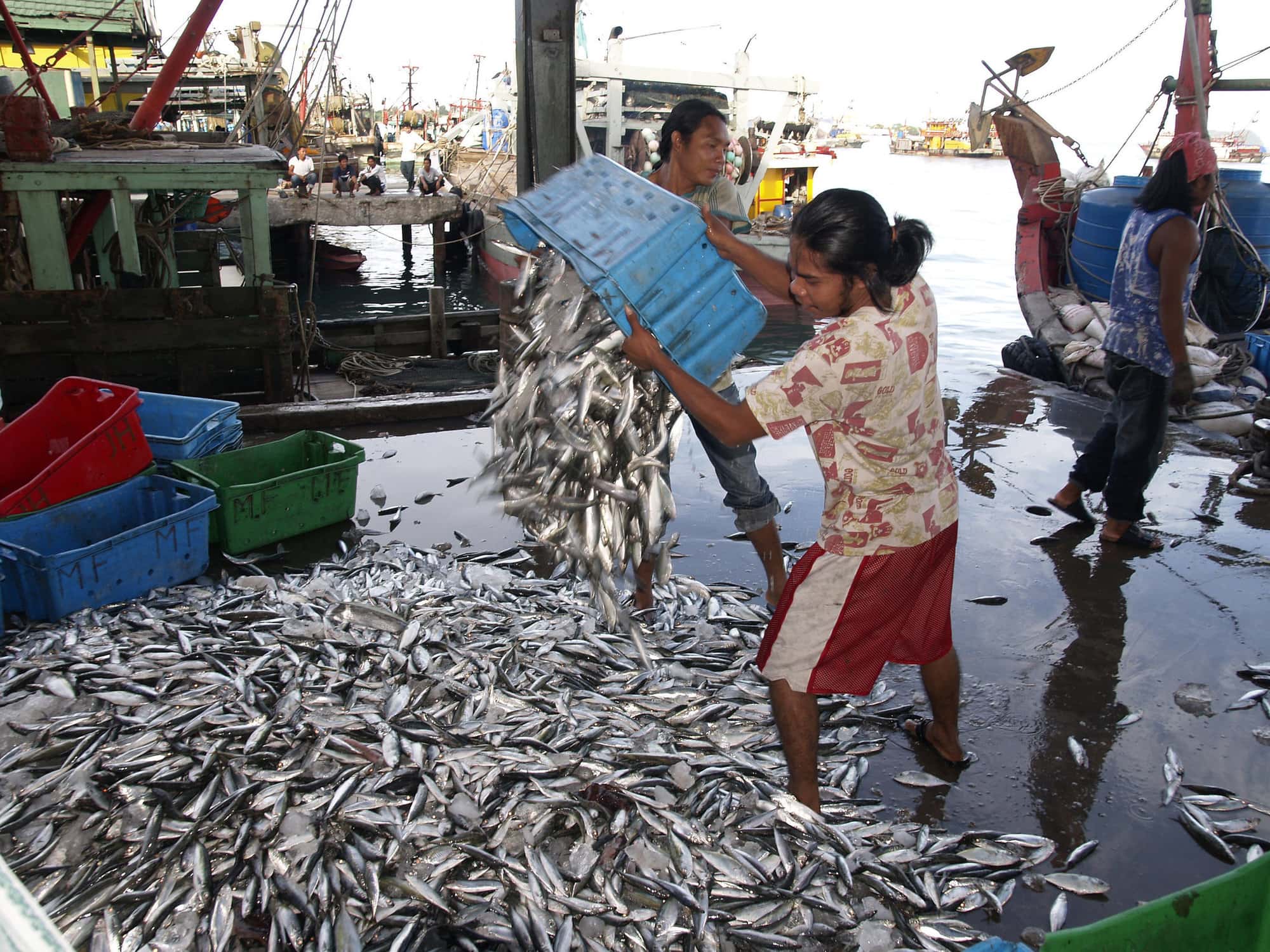 Small-scale fisheries, Kota Kinabalu, Malaysia