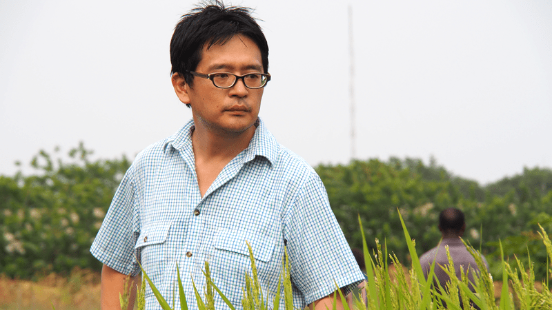 Dr Kazuki Saito, Africa Rice Center (AfricaRice) Agronomist