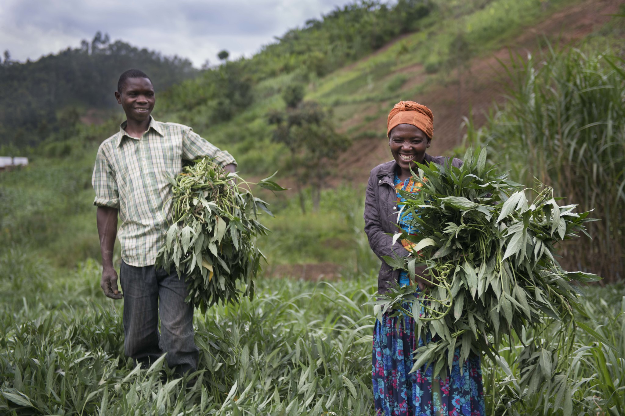 CIP Rwanda Good Nutrition and Innovative Urban Farming Campaign