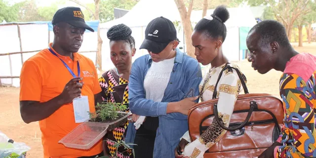 IITA research associate, Jacob Njela (left) creating awareness on the cut- single –node technology for producing many cassava seeds for a short period.