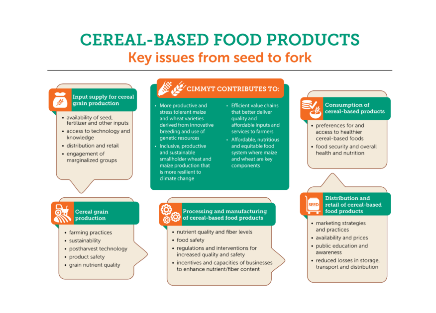Cereal seed systems CGIAR