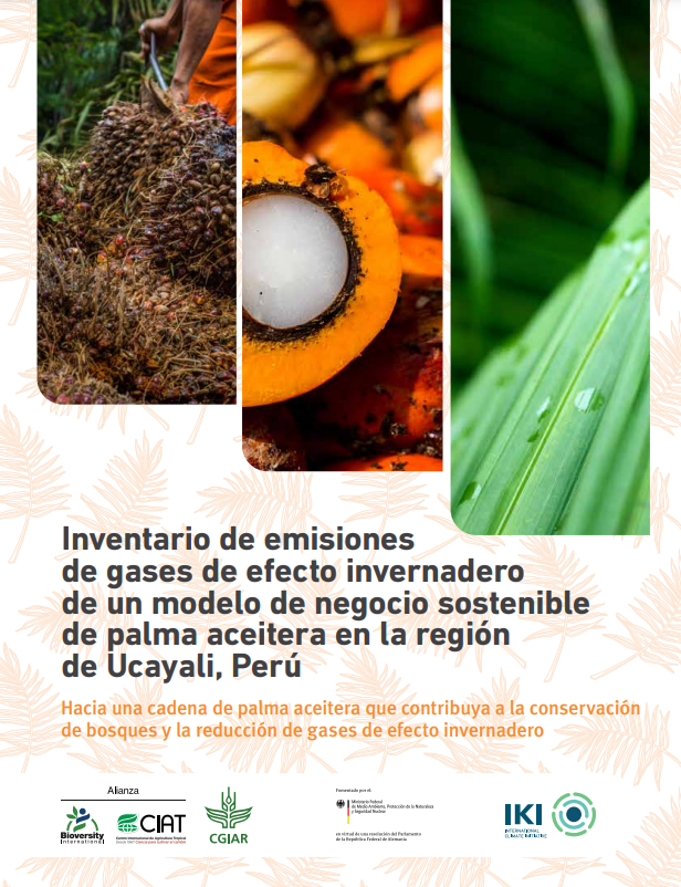 Inventario de emisiones de gases de efecto invernadero de un modelo de  negocio sostenible de palma aceitera en la región de Ucayali, Perú - CGIAR