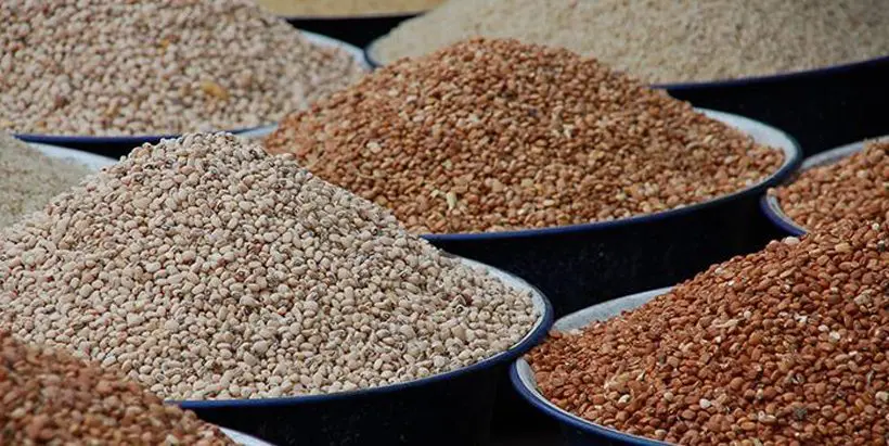 Different cowpea varieties on display in a market