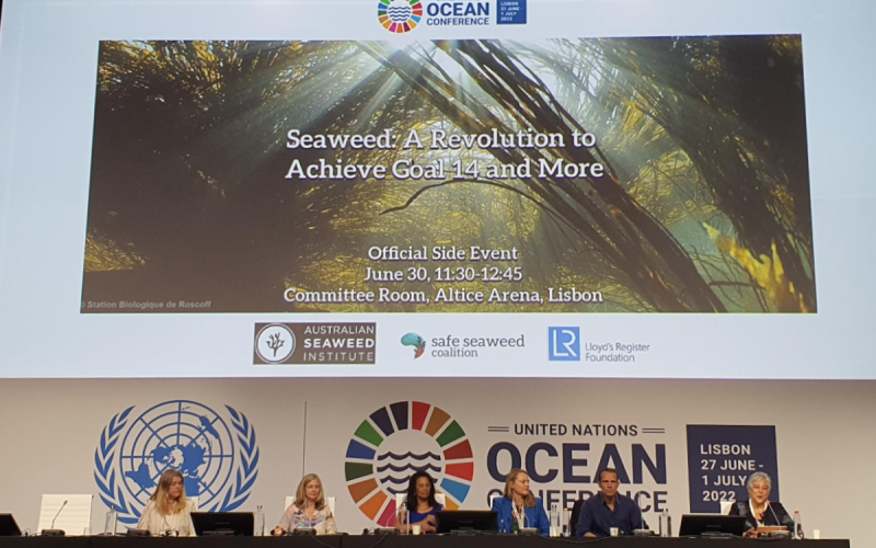 Shakuntala Haraksingh Thilsted (middle), Vincent Doumeizel (second from left), and other members of the Safe Seaweed Coalition presenting in a side session during the 2022 UN Ocean Conference in Lisbon, Portugal. Photo by Ben Wismen.