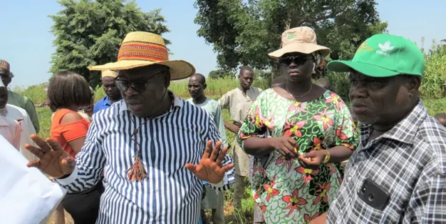 IITA Seed Systems Agronomist Professor Lucky Omoigui speaking at the cowpea demonstration site.