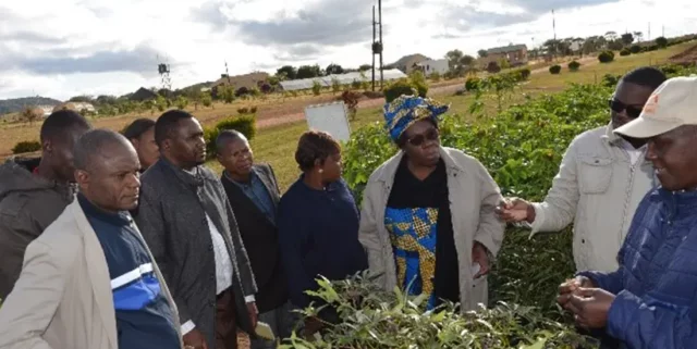 Training participants, during a field visit in Zambia.