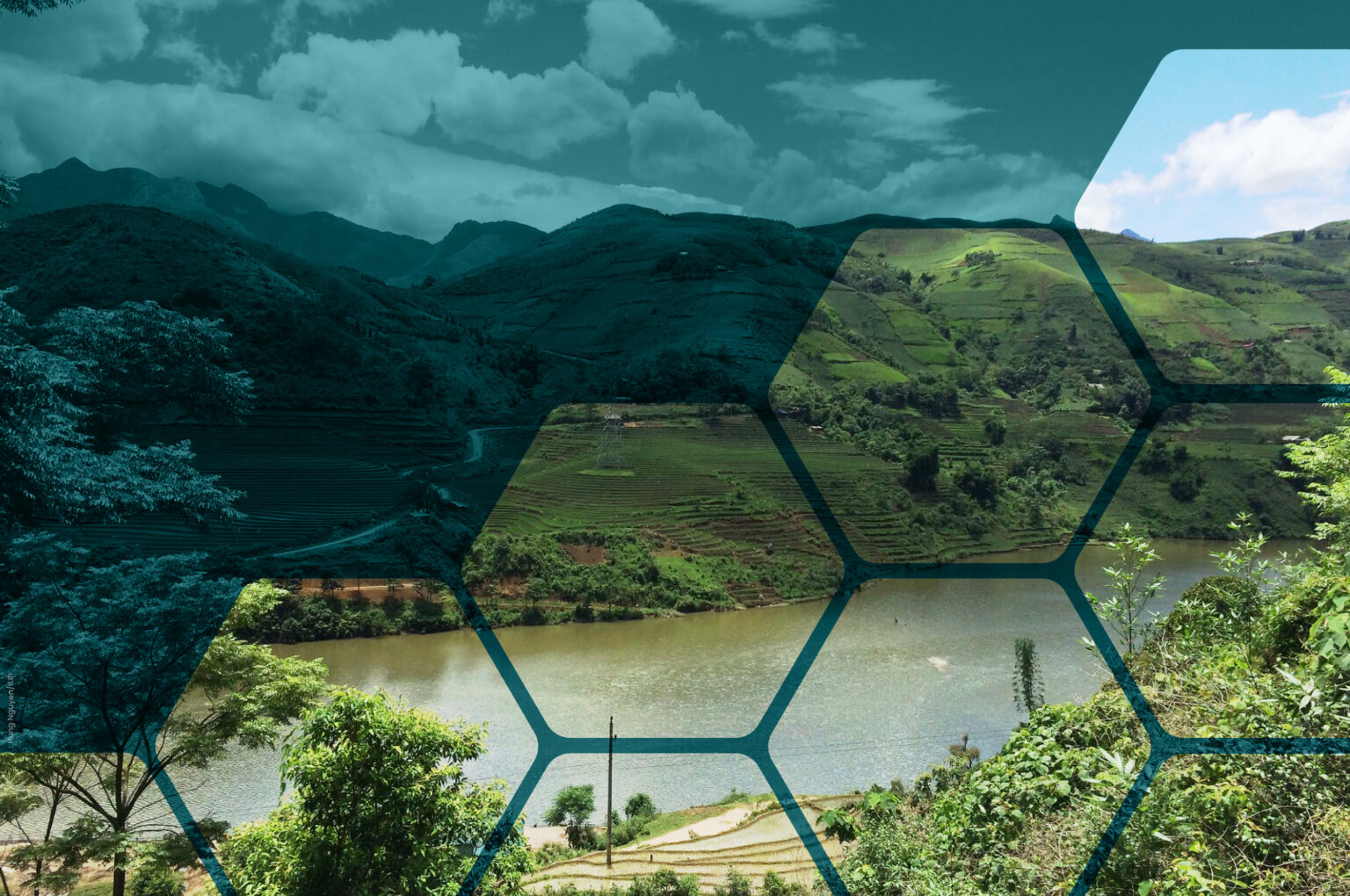 Foresight CGIAR Foresight CGIAR