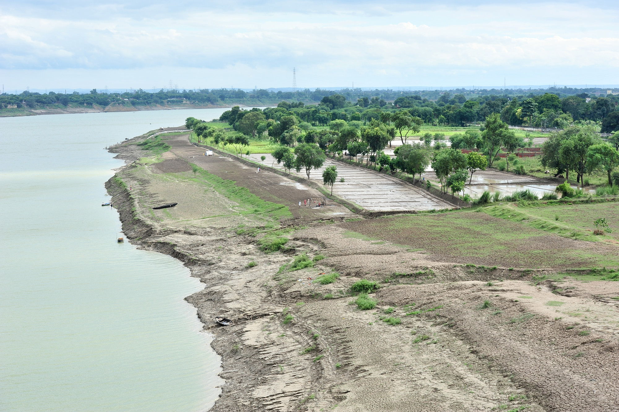 Agriculture on the banks of the Ganges river