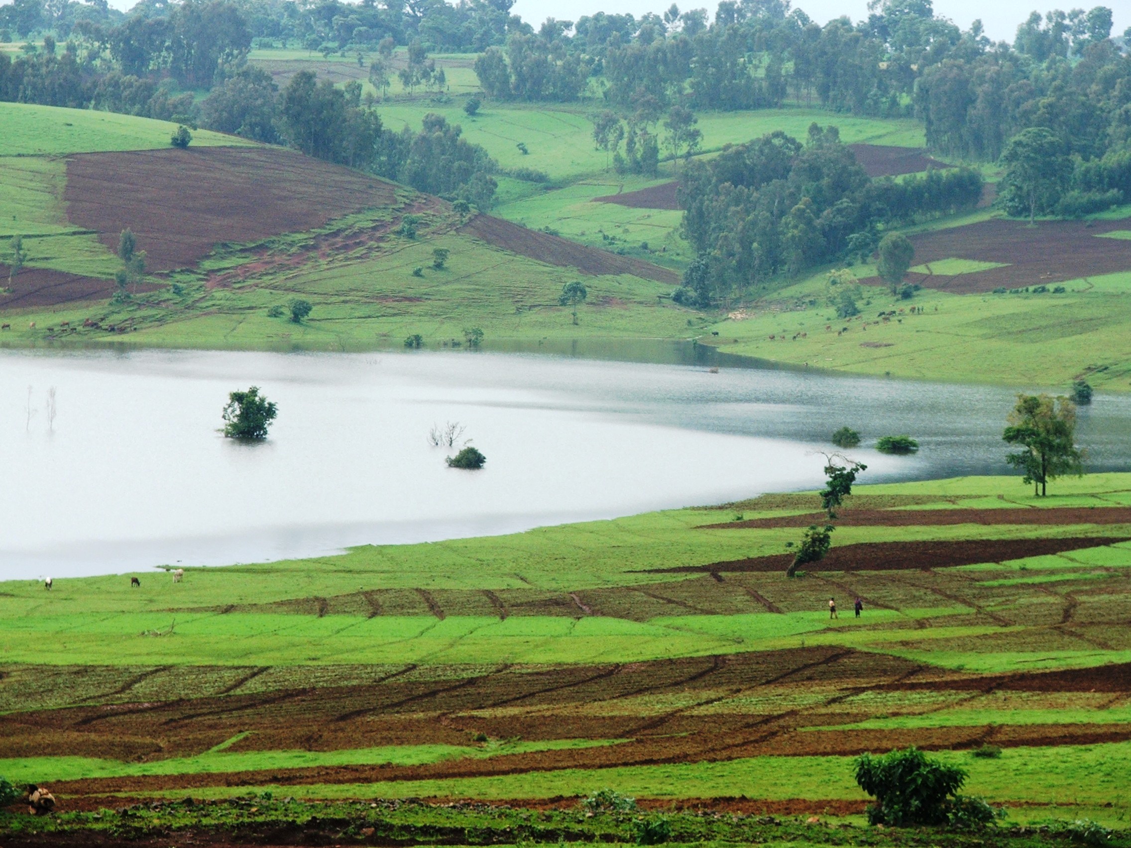 Meka reservoir Ethiopia