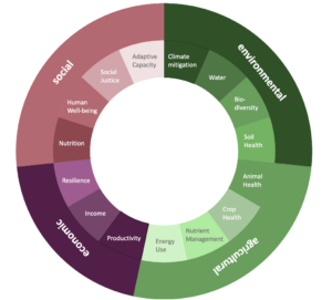 Figure 1. Agroecology Initiative performance assessment framework themes.