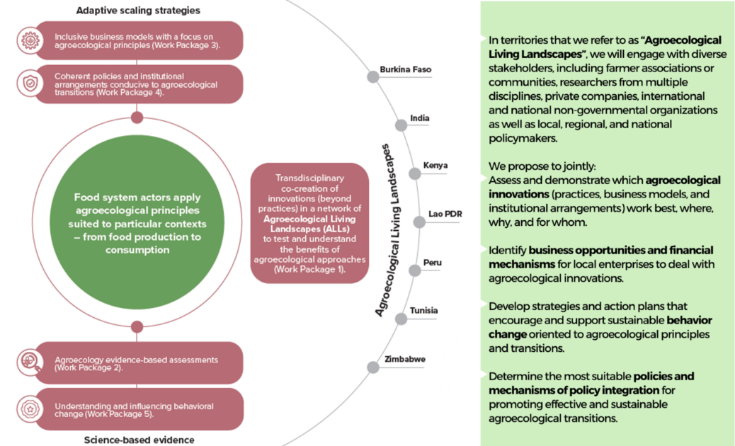 Illustration: Initiative work packages that aim at food system actors to apply agroecological principles.