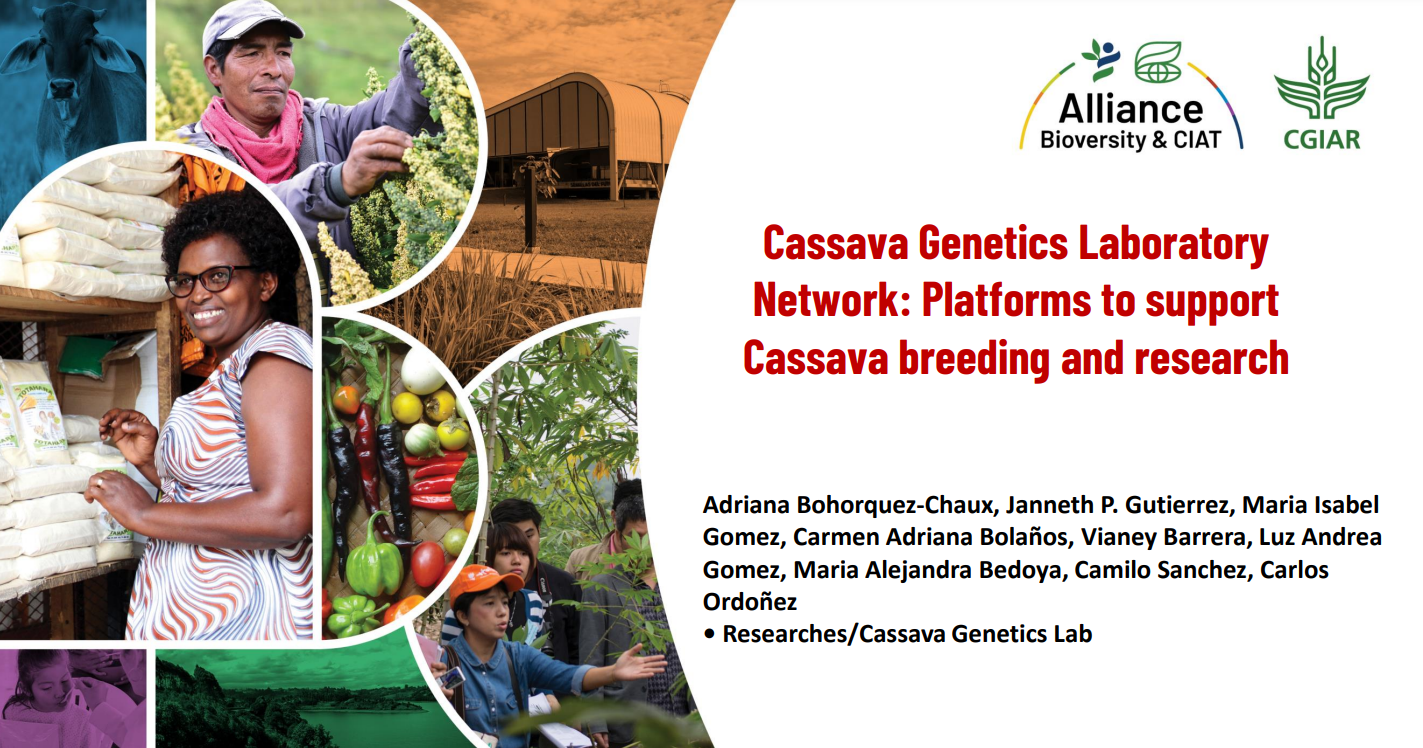 assava Genetics Laboratory Network - Platforms to support cassava breeding and research