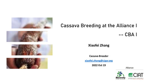 Cassava breeding at the Alliance I -- CBA I