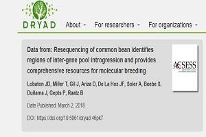 Data-from-Resequencing-of-common-bean-identifies-regions-of-inter-gene-pool-introgression-and-provides-comprehensive-resources-for-molecular-breeding