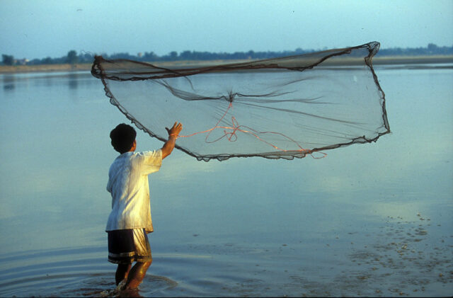 The new Blue Food Assessment research compiles and analyzes a variety of current national data to discover the four main functions that aquatic foods may play in improving the performance and sustainability of national food systems. Photo by Dominyk Lever.