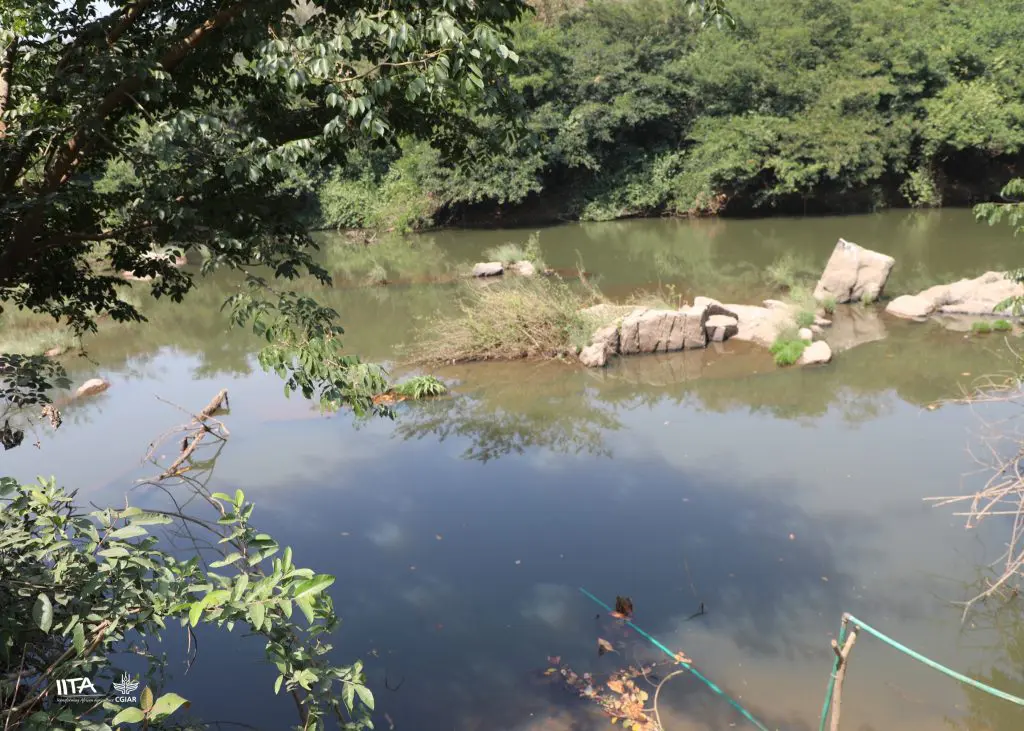 A wetland serving the Olokemeji community in southwestern Nigeria.