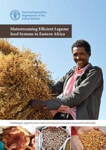 Mainstreaming Efficient Legume Seed Systems in Eastern Africa: Challenges, opportunities and contributions towards improved livelihoods